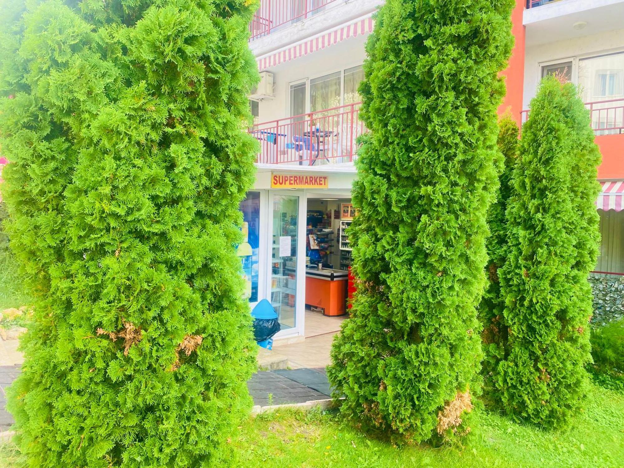 Apartment In Свети-Влас Экстерьер фото
